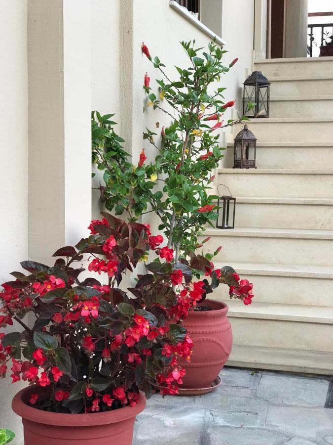 Kostas Apartment إيريسوس المظهر الخارجي الصورة